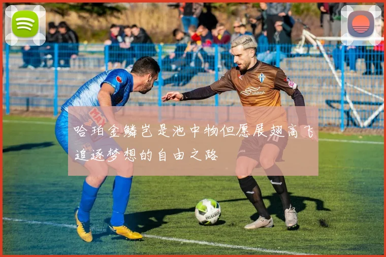 哈珀金鳞岂是池中物但愿展翅高飞追逐梦想的自由之路